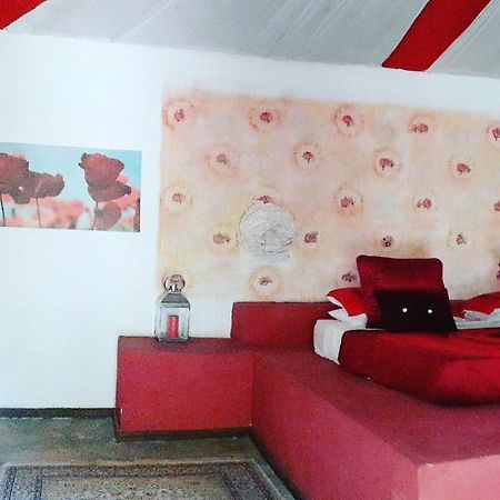 Gecko Nature Lodge Home Of Swahili Divers The Best Dive Center And Famous Gecko Restaurant Verani 外观 照片