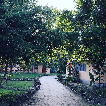 Gecko Nature Lodge Home Of Swahili Divers The Best Dive Center And Famous Gecko Restaurant Verani 外观 照片