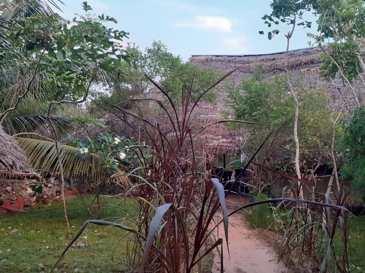 Gecko Nature Lodge Home Of Swahili Divers The Best Dive Center And Famous Gecko Restaurant Verani 外观 照片