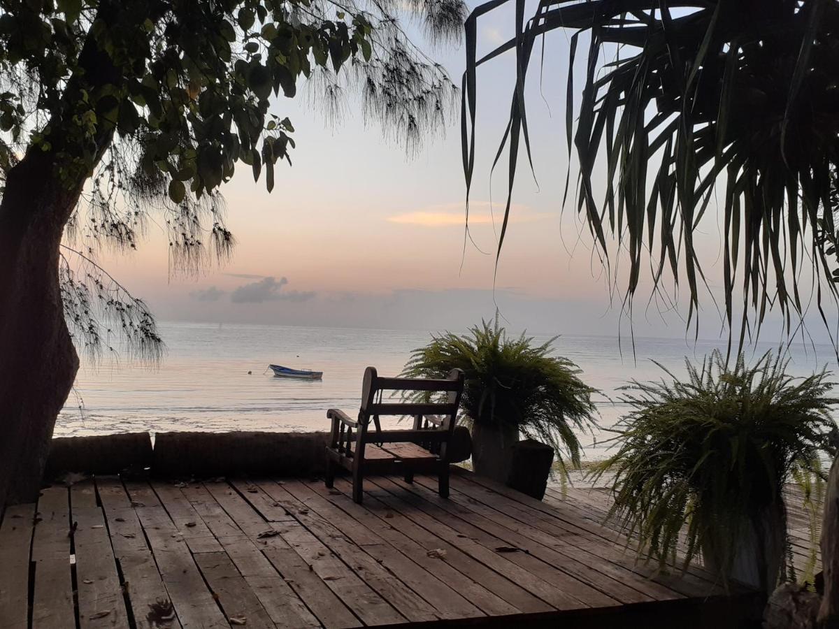Gecko Nature Lodge Home Of Swahili Divers The Best Dive Center And Famous Gecko Restaurant Verani 外观 照片