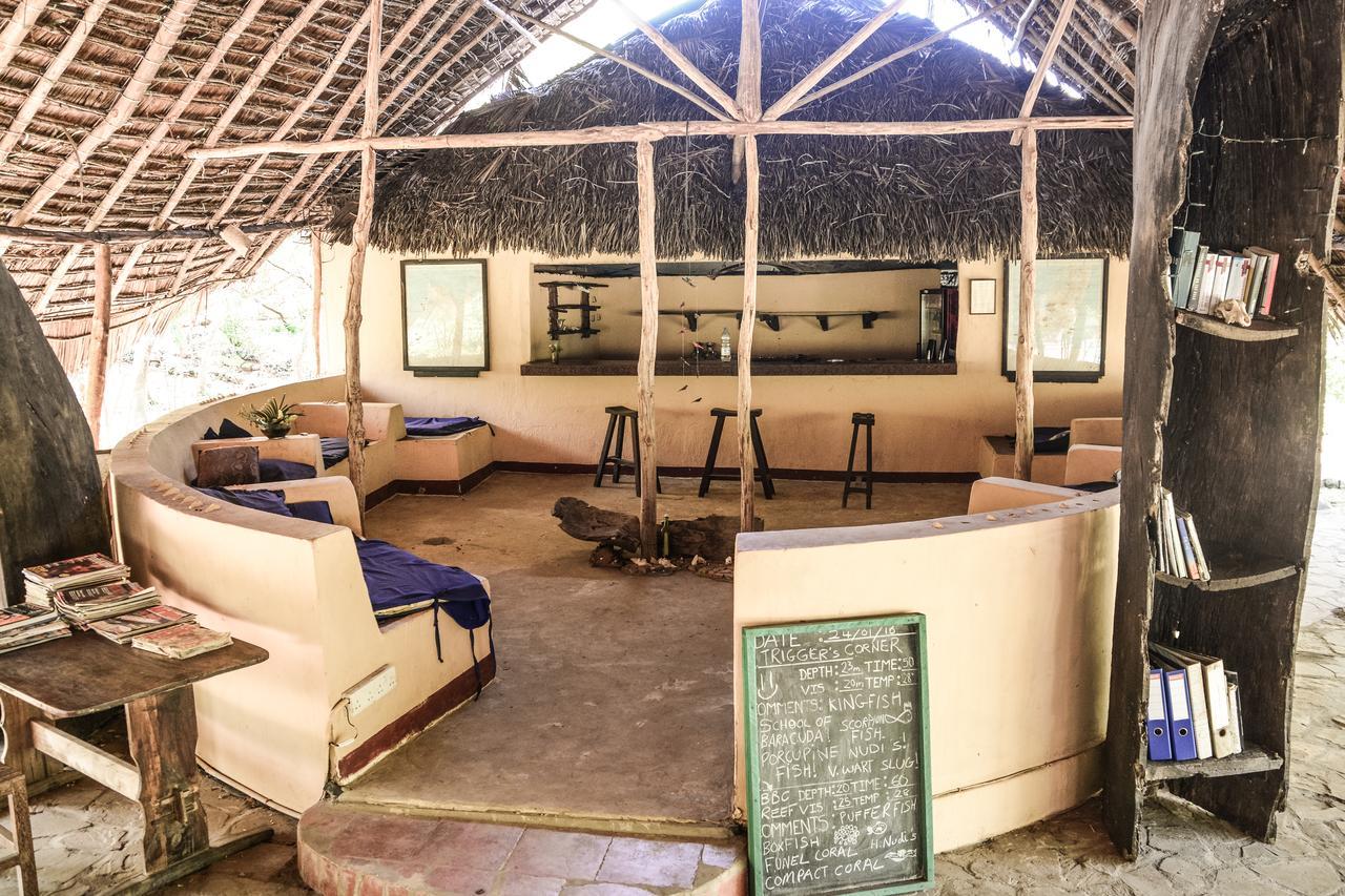 Gecko Nature Lodge Home Of Swahili Divers The Best Dive Center And Famous Gecko Restaurant Verani 外观 照片