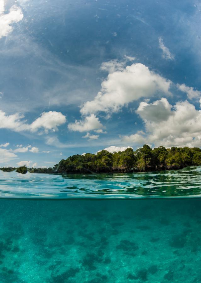 Gecko Nature Lodge Home Of Swahili Divers The Best Dive Center And Famous Gecko Restaurant Verani 外观 照片