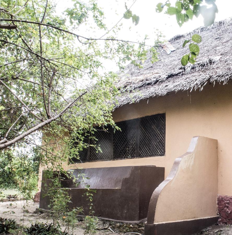 Gecko Nature Lodge Home Of Swahili Divers The Best Dive Center And Famous Gecko Restaurant Verani 外观 照片