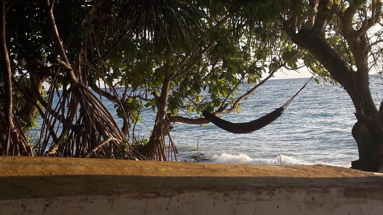 Gecko Nature Lodge Home Of Swahili Divers The Best Dive Center And Famous Gecko Restaurant Verani 外观 照片
