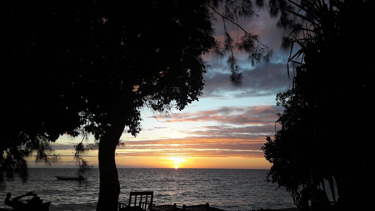 Gecko Nature Lodge Home Of Swahili Divers The Best Dive Center And Famous Gecko Restaurant Verani 外观 照片