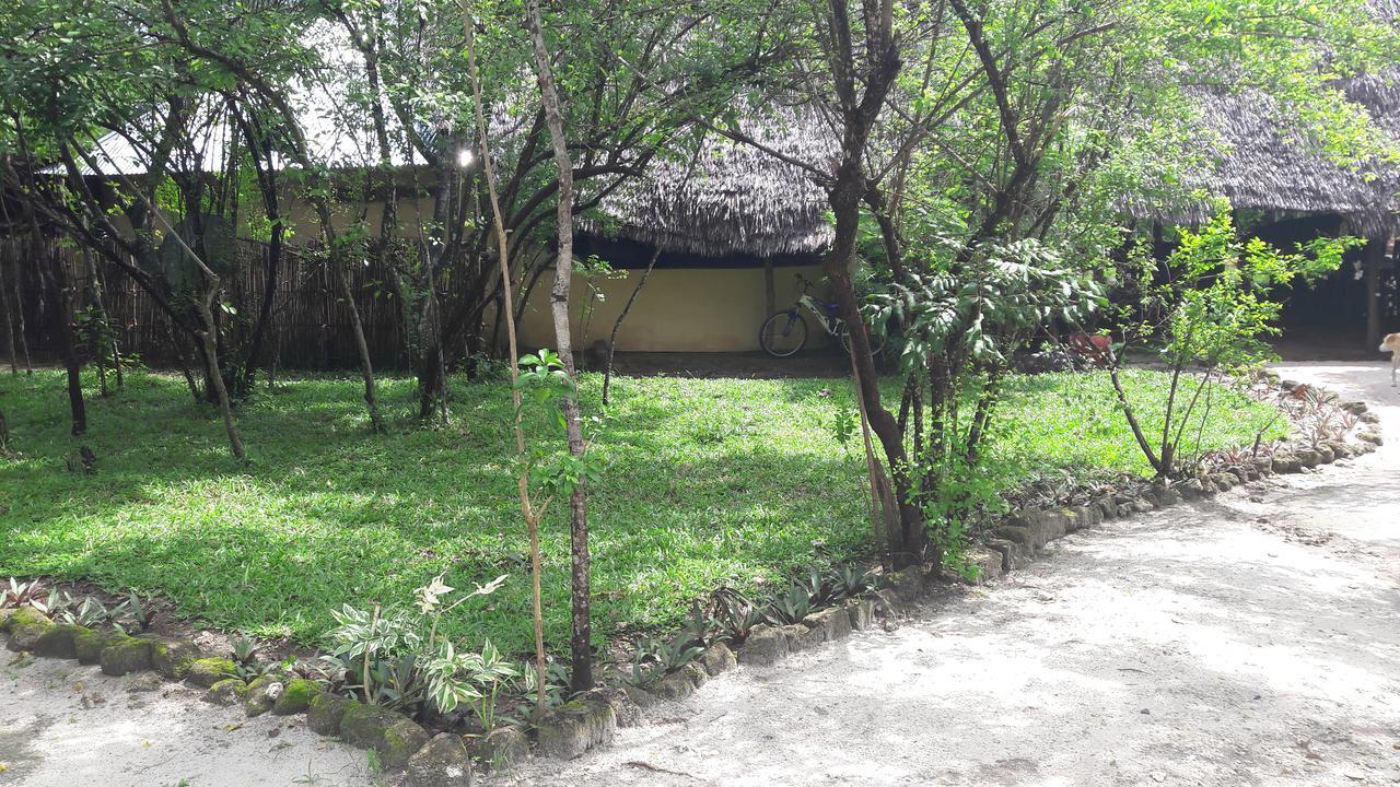 Gecko Nature Lodge Home Of Swahili Divers The Best Dive Center And Famous Gecko Restaurant Verani 外观 照片