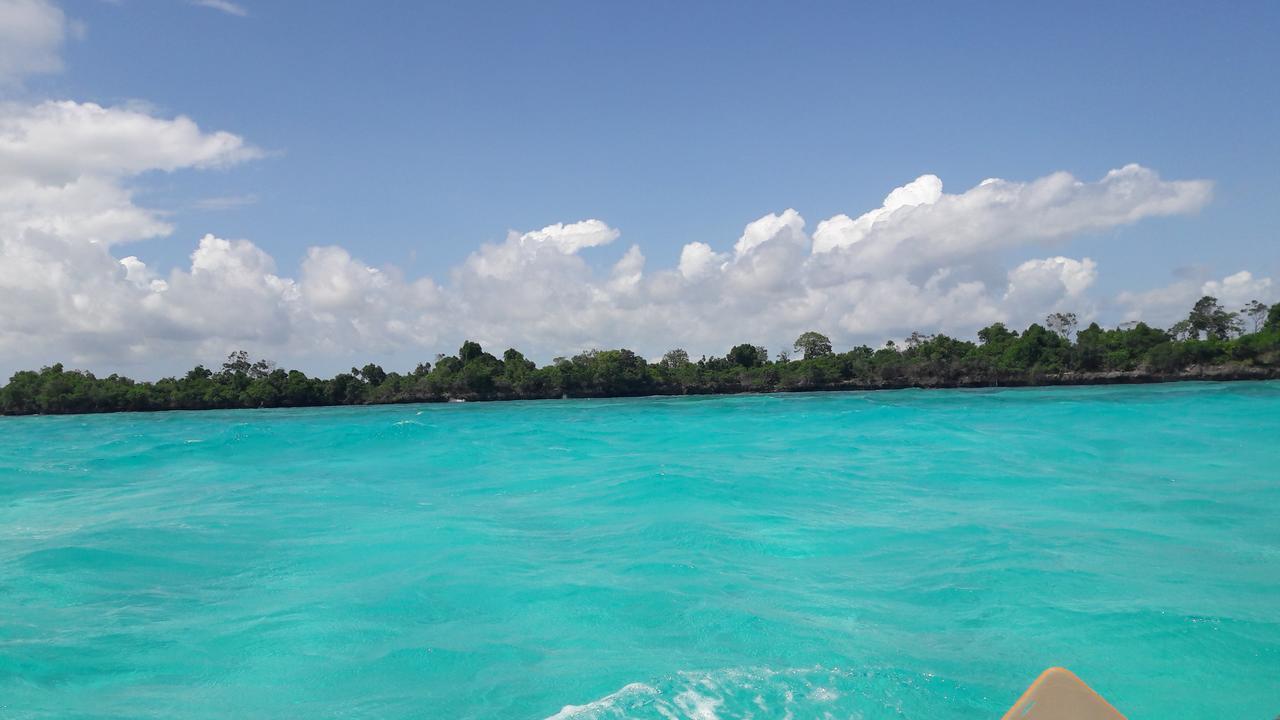 Gecko Nature Lodge Home Of Swahili Divers The Best Dive Center And Famous Gecko Restaurant Verani 外观 照片